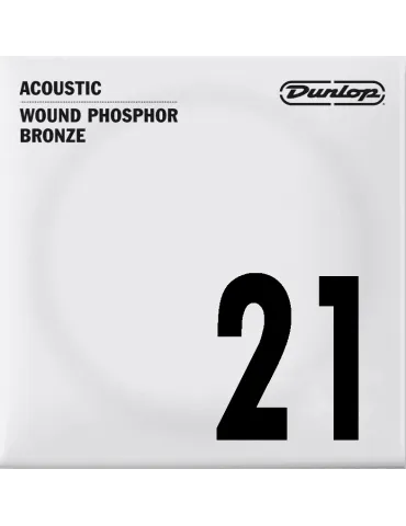 DUNLOP DAP21 | MusicGoodDeal