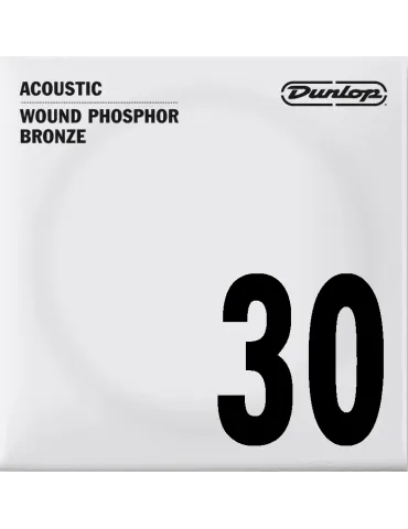 DUNLOP DAP30 | MusicGoodDeal