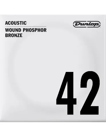DUNLOP DAP42 | MusicGoodDeal