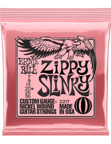 ERNIE BALL 2217 | MusicGoodDeal