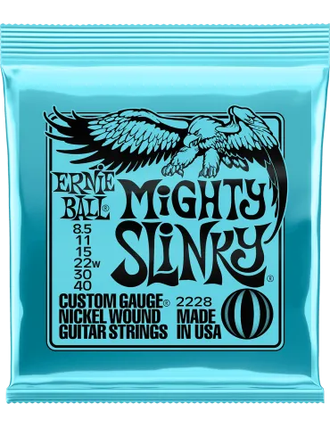 ERNIE BALL 2228 | MusicGoodDeal