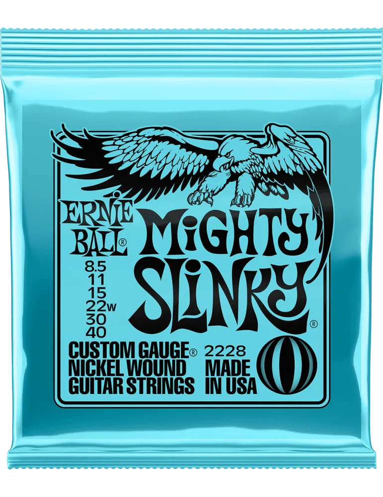 ERNIE BALL 2228 | MusicGoodDeal