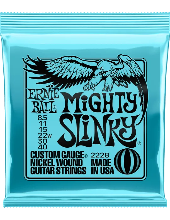 ERNIE BALL 2228 | MusicGoodDeal