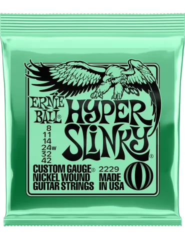 ERNIE BALL 2229 | MusicGoodDeal
