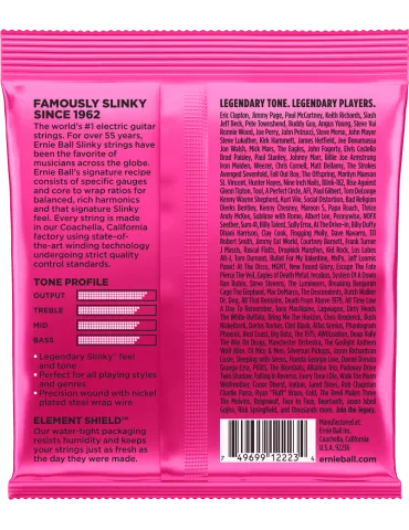 ERNIE BALL 2223 | MusicGoodDeal 2