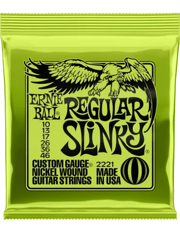 ERNIE BALL 2221 | MusicGoodDeal