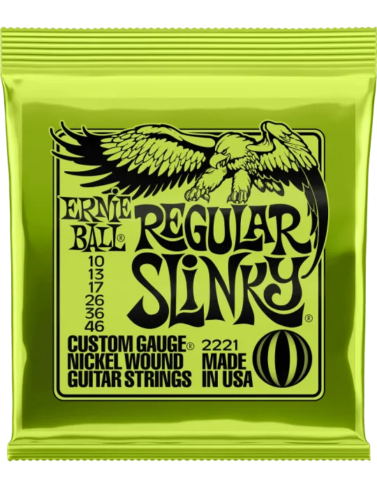 ERNIE BALL 2221 | MusicGoodDeal