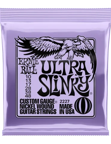 ERNIE BALL 2227 | MusicGoodDeal
