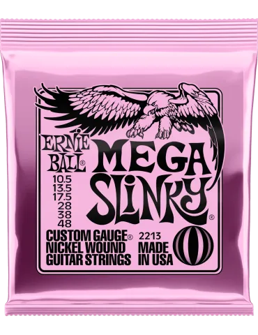 ERNIE BALL 2213 | MusicGoodDeal
