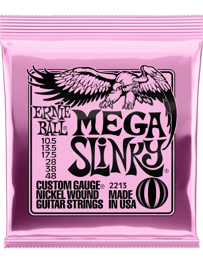 ERNIE BALL 2213 | MusicGoodDeal