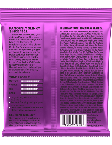 ERNIE BALL 2220 | MusicGoodDeal 2