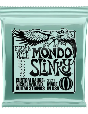 ERNIE BALL 2211 | MusicGoodDeal