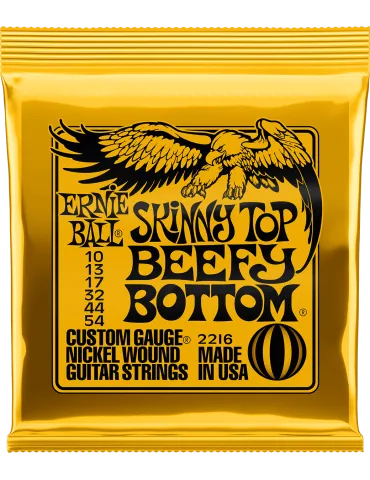 ERNIE BALL 2216 | MusicGoodDeal