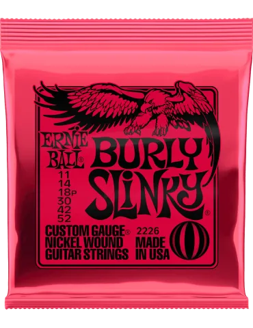 ERNIE BALL 2226 | MusicGoodDeal