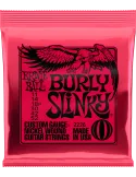 ERNIE BALL 2226 | MusicGoodDeal