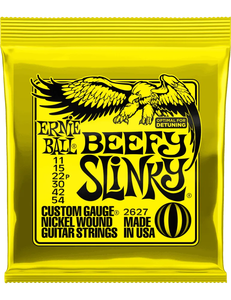 ERNIE BALL 2627 | MusicGoodDeal
