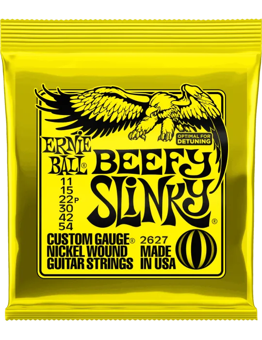 ERNIE BALL 2627 | MusicGoodDeal