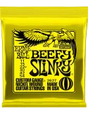 ERNIE BALL 2627 | MusicGoodDeal