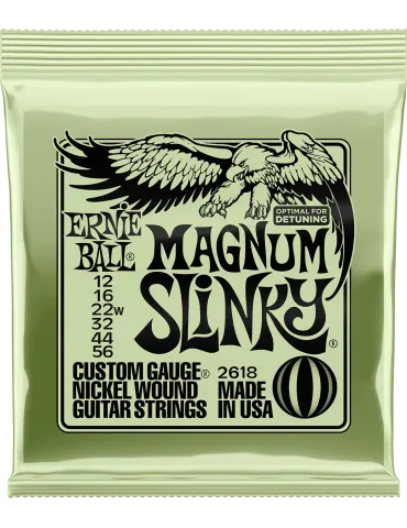 ERNIE BALL 2618 | MusicGoodDeal