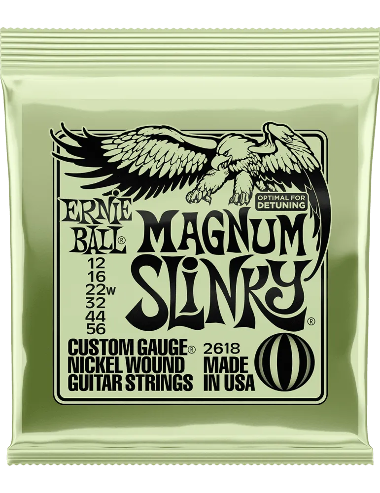 ERNIE BALL 2618 | MusicGoodDeal