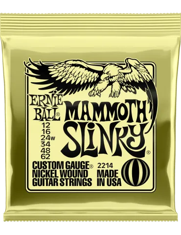 ERNIE BALL 2214 | MusicGoodDeal