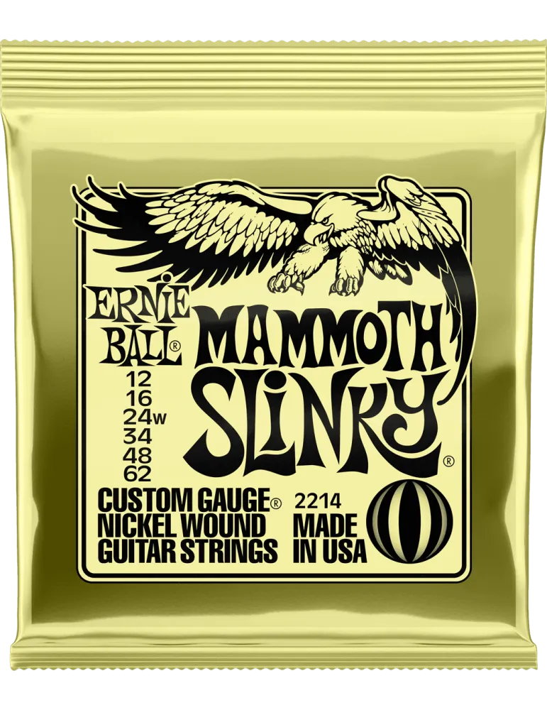 ERNIE BALL 2214 | MusicGoodDeal
