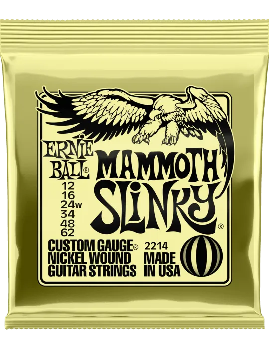 ERNIE BALL 2214 | MusicGoodDeal