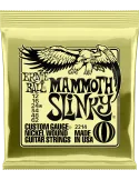 ERNIE BALL 2214 | MusicGoodDeal