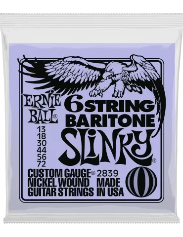 ERNIE BALL 2839 | MusicGoodDeal