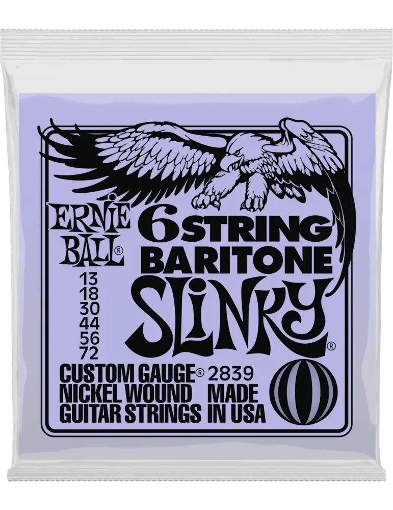 ERNIE BALL 2839 | MusicGoodDeal