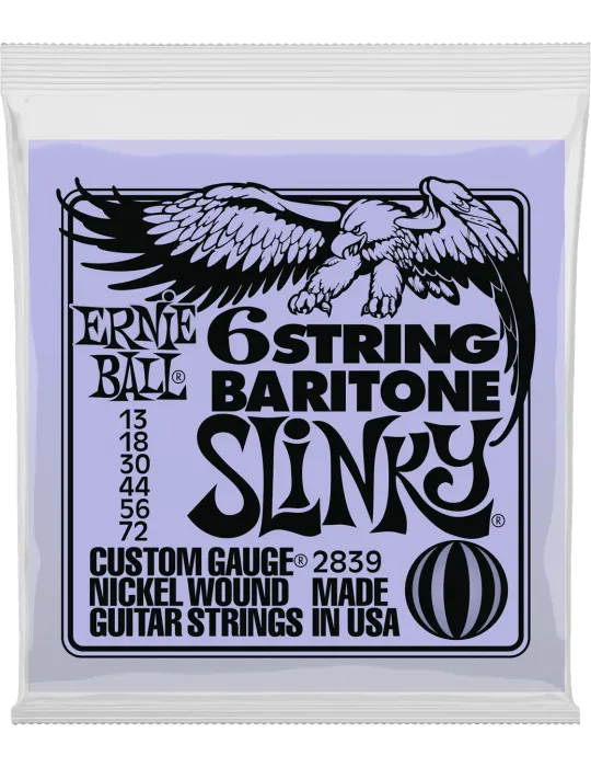 ERNIE BALL 2839 | MusicGoodDeal