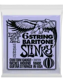 ERNIE BALL 2839 | MusicGoodDeal