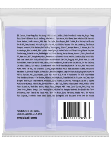 ERNIE BALL 2839 | MusicGoodDeal 2