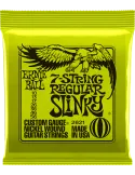 ERNIE BALL 2621 | MusicGoodDeal