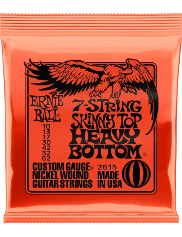 ERNIE BALL 2615 | MusicGoodDeal