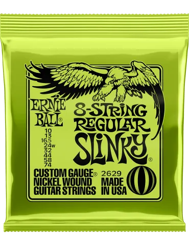 ERNIE BALL 2629 | MusicGoodDeal