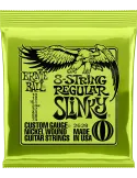 ERNIE BALL 2629 | MusicGoodDeal
