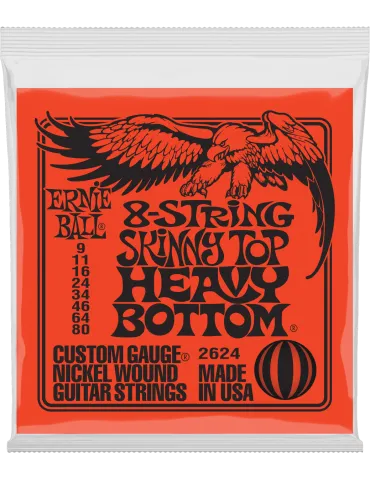 ERNIE BALL 2624 | MusicGoodDeal