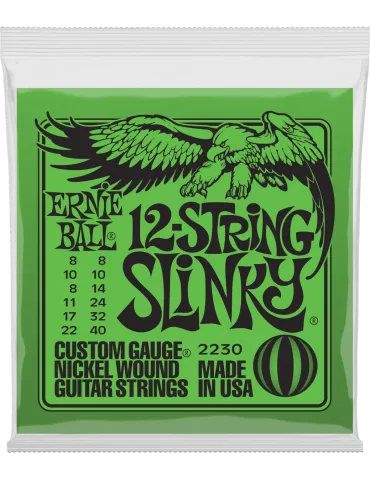 ERNIE BALL 2230 | MusicGoodDeal
