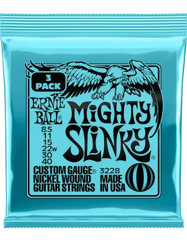 ERNIE BALL 3228 | MusicGoodDeal