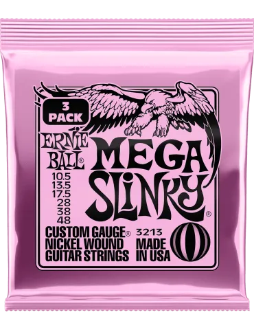 ERNIE BALL 3213 | MusicGoodDeal