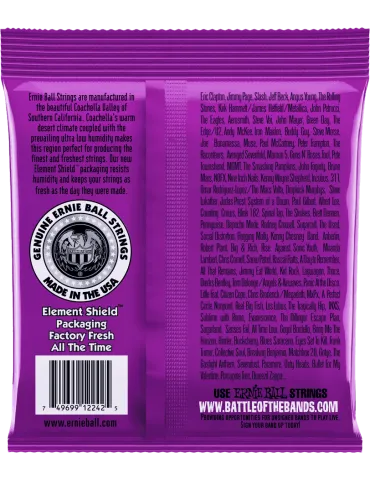 ERNIE BALL 2242 | MusicGoodDeal 2