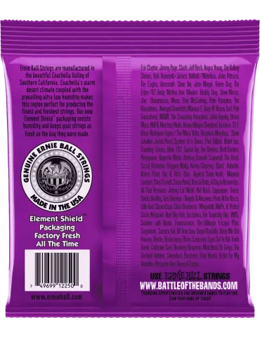 ERNIE BALL 2250 | MusicGoodDeal 2