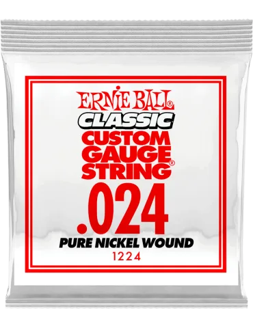 ERNIE BALL 1224 | MusicGoodDeal