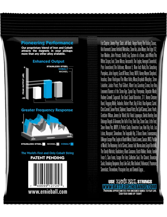 ERNIE BALL 2725 | MusicGoodDeal