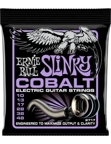 ERNIE BALL 2717 | MusicGoodDeal