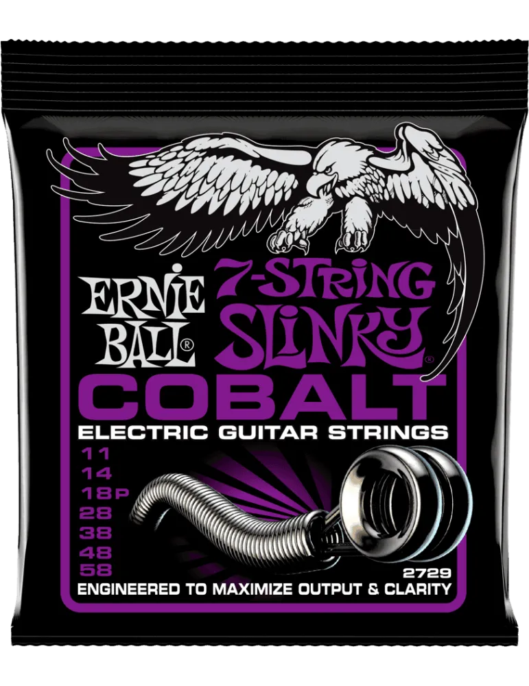 ERNIE BALL 2729 | MusicGoodDeal