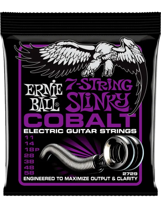 ERNIE BALL 2729 | MusicGoodDeal