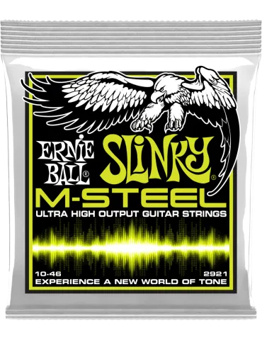 ERNIE BALL 2921 | MusicGoodDeal