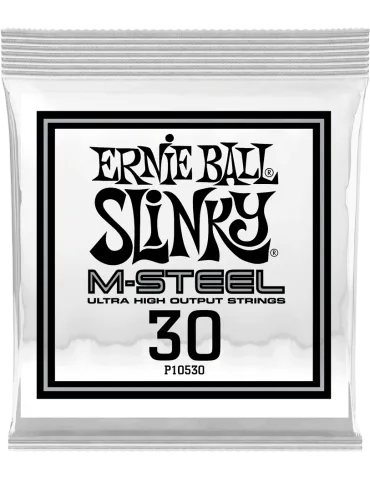 ERNIE BALL 10530